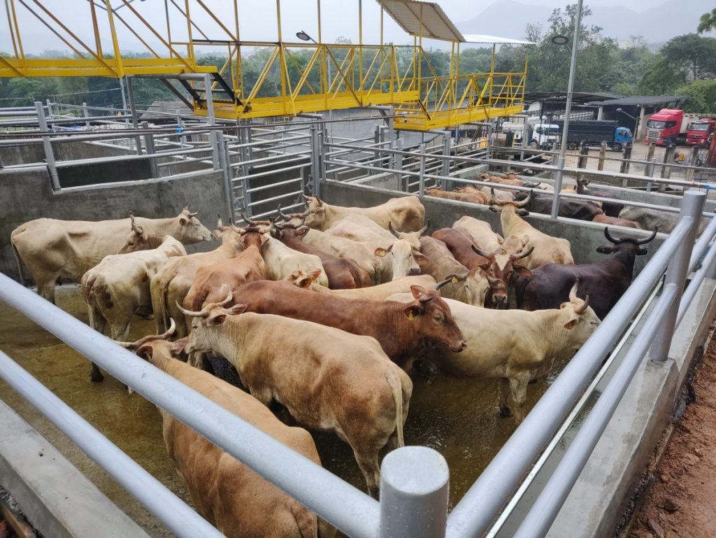 Baias de Currais – Reforma/ ampliação para Indústria Frigorífico Gessner em Timbó/SC